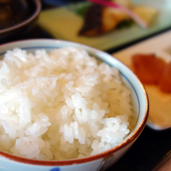 炊きたて地元米の白ご飯